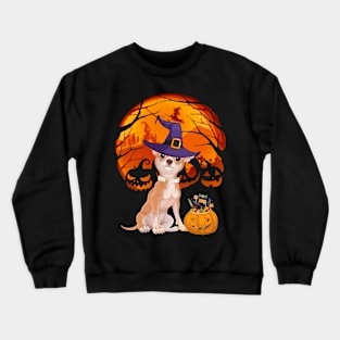 Chihuahua pumpkin witch Crewneck Sweatshirt